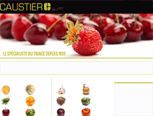 Tablet Screenshot of caustier.com